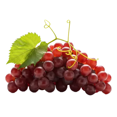 Imagen PNG para descargar